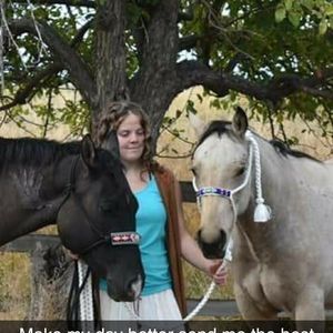 Meet your Posher, Shilo